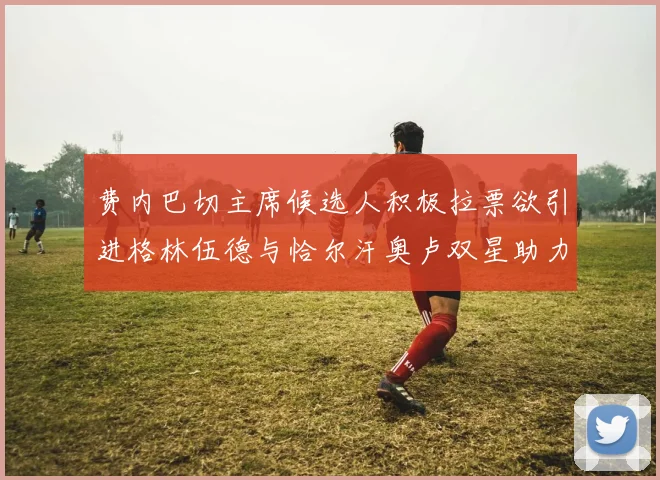 费内巴切主席候选人积极拉票欲引进格林伍德与恰尔汗奥卢双星助力球队