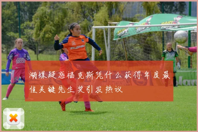 湖媒疑惑福克斯凭什么获得年度最佳关键先生奖引发热议